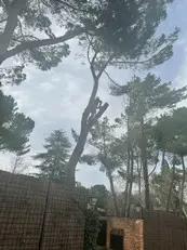 Podasytalas-05.jpeg